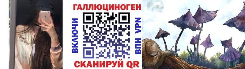 Псилоцибиновые грибы мицелий  shop какой сайт  Новоульяновск 